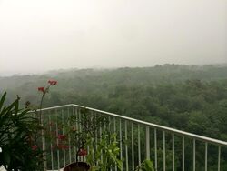 Tree House (D23), Condominium #606887041